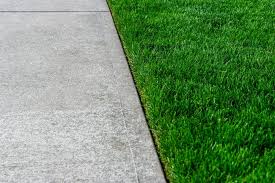 reasons why you should have your lawn edged