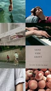 See more ideas about call me, timothee chalamet, your name. Aesthetic Wallpapers Call Me By Your Name Aesthetic Anonymous Asked