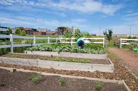 Urban Gardens Promote Education