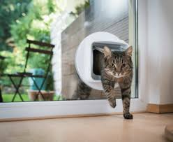 Can You Put A Cat Flap In A Glass Door