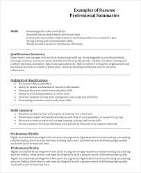Professional Profile Resume Tyneandweartravel Info