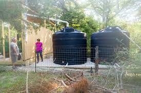 beginner rainwater harvesting system