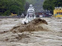 Assam Floods     Update   WWF India