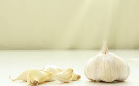 garlic for better teeth dentist