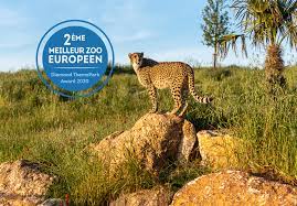Le Bioparc élu 2ème meilleur zoo d'Europe en 2020 - Bioparc Zoo de Doué la  Fontaine