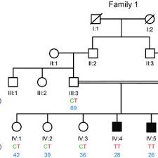 Family Tree For Cases 1 3 Four Generation Family Tree Representing