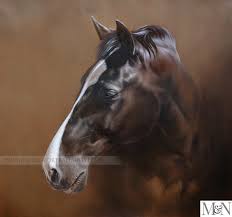Horse Portrait Oils On Canvas