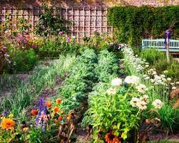 Starting An Organic Garden 10 Keys For