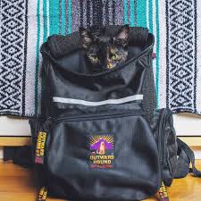The fat cat is our most popular style of cat backpack carrier. What Backpacks Are Best For Cats Adventure Cats