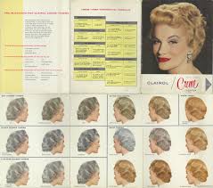 Vintage Clairol Creme Toner Hair Color Chart