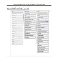 Assignment On The Organizational Structure Model Of Coca