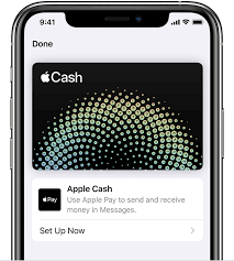 Ok, now stop imagining and go get your amaze. Set Up Apple Cash Apple Support