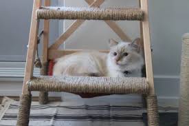 Check spelling or type a new query. 11 Amazing Diy Cat Tree Ideas Simple Kitty Condos And Towers