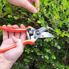 15 important gardening tools names in
