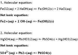 What Is The Net Ionic Equation Of The