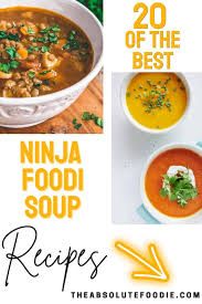 20 delicious ninja foodi soup recipes