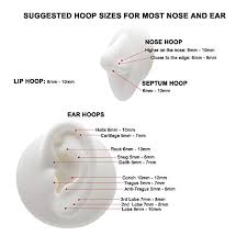 Fansing Nose Rings 20 Gauge Nose Ring Hoop Earrings Rose