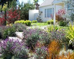 Water Saving Landscaping Ideas For
