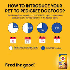 Pedigree Adult Dry Dog Food Chicken And Vegetables 20 Kg