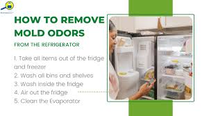 how to remove mold odors from the