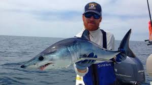 Let us custom design a sd card of san diego fishing spots for your gps unit! Shark Fishing Charters Trips Guides Catch Mako Sharks San Diego Theflystop Com Fly Shop