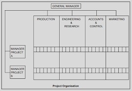 Project Management Organization Structure And Chart