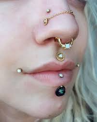 Nose piercings (like any other type of piercing) should be carefully considered and researched to make sure you end up with a piercing and jewellery combination you'll be proud to show off. Ich Liebe Die Verketteten Nasenlochpiercings Die Ich Liebe Nasenlochpiercin Ich Liebe Die Verke Nose Piercing Jewelry Septum Piercing Jewelry Piercings