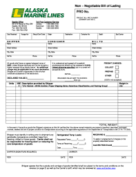 Waybill Non Negotiable Form Fill Out And Sign Printable