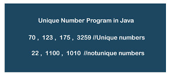 unique number in java program javatpoint