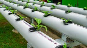 how to build a nft hydroponic system 2