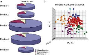 The Absolute Concentrations Of Leukocytes In Human Blood