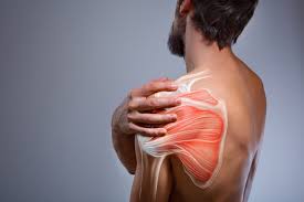 shoulder blade pain what are the causes