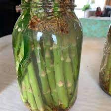 easy fermented asparagus recipe and tips