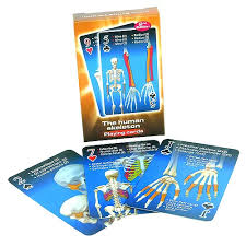 Create skeleton playing cards style with photoshop, illustrator, indesign, 3ds max, maya or cinema 4d. 3b Scientific Playing Cards Human Skeleton Arabpt