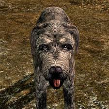 Search for pedigree puppies or rescue dogs for sale near you. Dog Skyrim Elder Scrolls Fandom