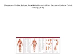 Muscular And Skeletal Systems Study Guide Anatomical Chart