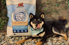 redbarn dog food review get the scoop