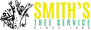 Maybe you would like to learn more about one of these? Complete Tree Removal In Georgia Near Me Smith S Tree Service