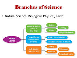 Printables Branches Of Science Worksheet Printables Branches