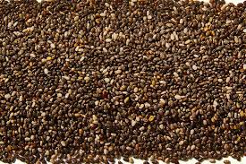 can ens eat chia seeds benefits