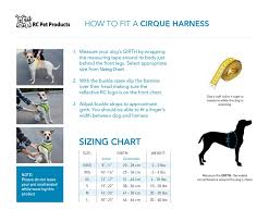 Cirque Harness Pet Harness