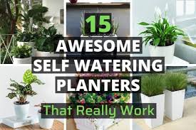 15 Best Indoor Self Watering Planters