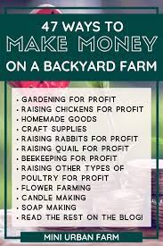Make Money With A Backyard Farm