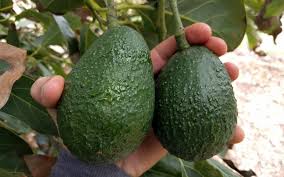 The easiest method is by testing through the odor. How To Know If That Avacado Is Safe To Eat
