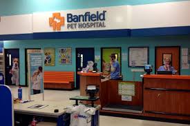 Banfield pet hospital is a privately owned company based in vancouver, washington, united states, that operates veterinary clinics. Banfield Pet Hospital Jobs Pet S Gallery