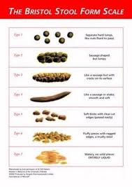 The Bristol Stool Form Scale Or Bristol Stool Chart Is A