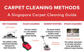 a guide to carpet cleaning big red