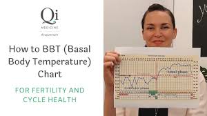 How To Bbt Chart Basal Body Temperature