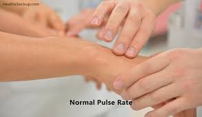 Normal Pulse Rate For Adults Children Women Men