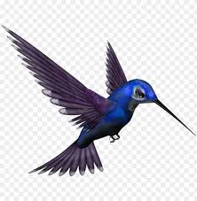 bird png picsart all png hd png